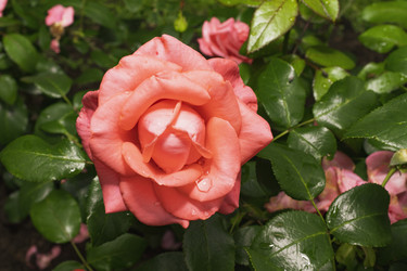 Similar image 21140845