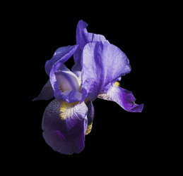 Similar image 21140846