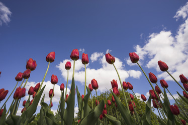 Similar image 21141925