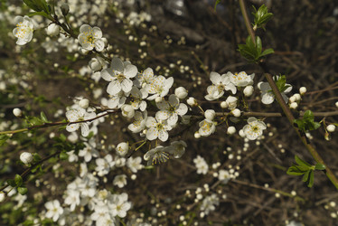 Similar image 21141926