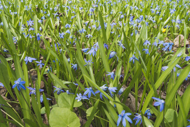 Similar image 21141927