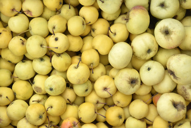 Similar image 21139659