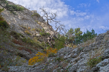 Similar image 21142109