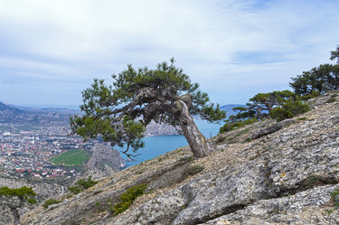 Similar image 21142110