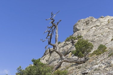 Similar image 21142112