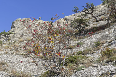 Similar image 21142113