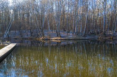 Similar image 21142121