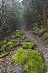 Similar image 21142122