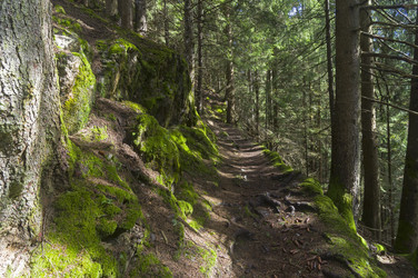 Similar image 21142123