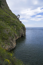 Similar image 21142125