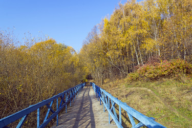 Similar image 21142129