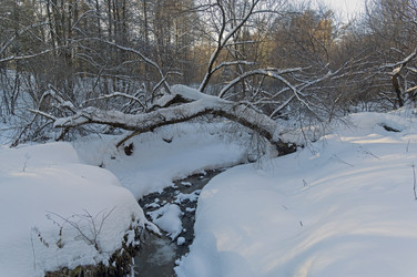 Similar image 21142131