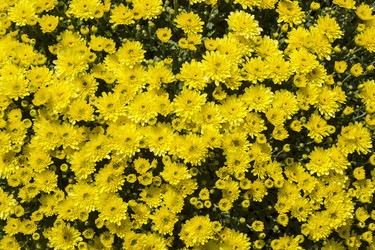 Similar image 21142133