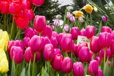 Similar image 21142134