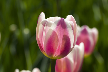 Similar image 21142135