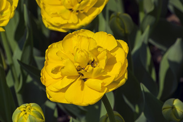 Similar image 21142136