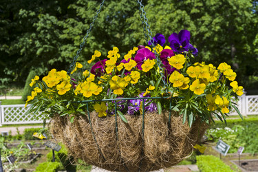 Similar image 21142137