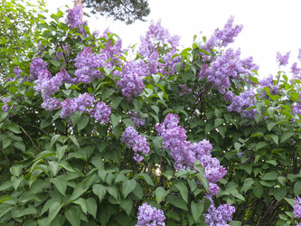 Similar image 21141932