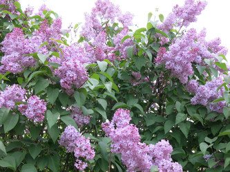 Similar image 21141933