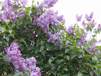 Similar image 21141934