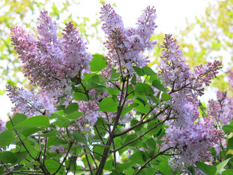 Similar image 21141935