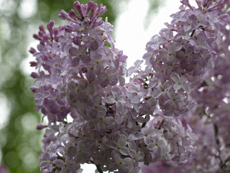 Similar image 21141937