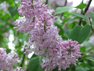 Similar image 21141938