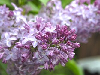 Similar image 21141939