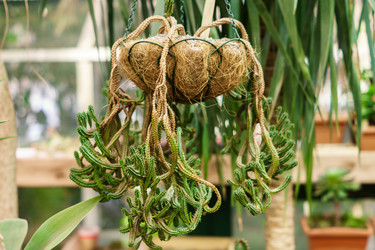 Similar image 21165487