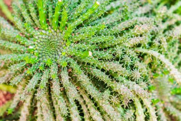 Similar image 21165490