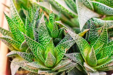 Similar image 21165709