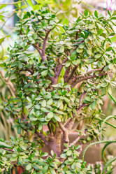 Similar image 21165713