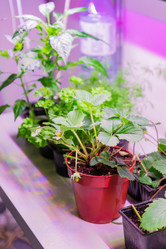 Similar image 21165727