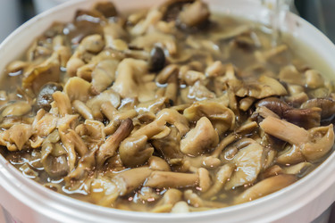 Similar image 21165730