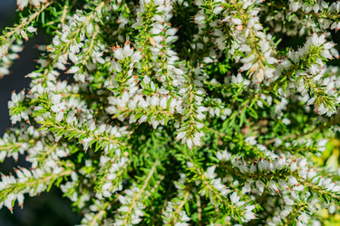 Similar image 21165731