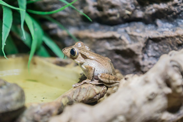 Similar image 21165745