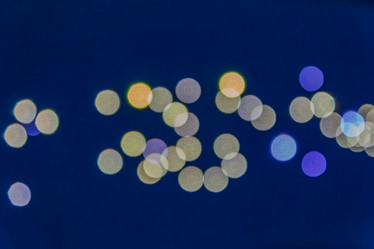 Similar image 21165746