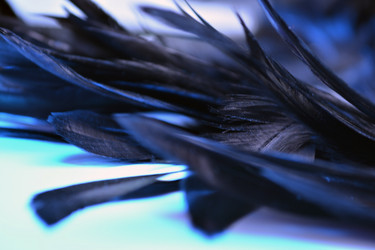 Similar image 21141940