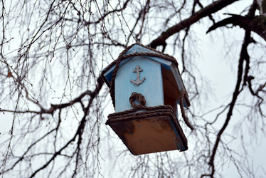 Similar image 21141941