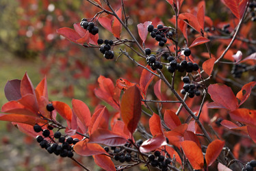 Similar image 21141282