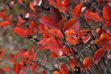 Similar image 21141283