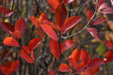 Similar image 21141284