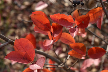 Similar image 21141285