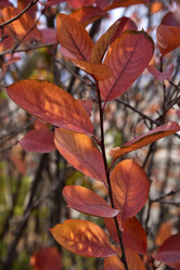 Similar image 21141287