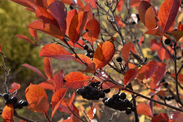 Similar image 21141288