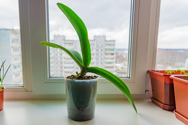 Similar image 21166152