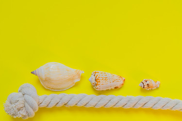 Similar image 21166153