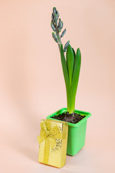 Similar image 21166157