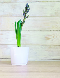 Similar image 21166453