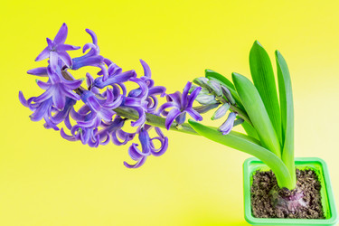 Similar image 21166458